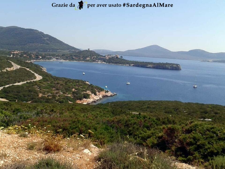 SardegnaAlMare's tweet photo. From https://t.co/EqygCc0KOy
Alghero 🤩 ❤️ 🏖️ # SardegnaAlMare #spiaggia #sardegna #sardinia #ichnusa #Alghero #alguer #Capocaccia #belvederedicapocaccia #instaalghero #igeralghero #volgoalghero #quintilioristobar #algherobosa #algherobeach #algherocity #portoconte #portocon… https://t.co/TLXZK8Crf7