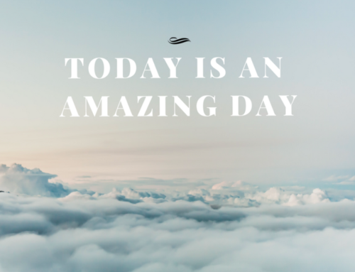 Iolanthe Midwifery Trust tweet media