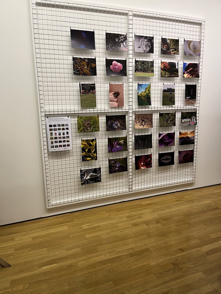 Mrs E Thomas (@mrsthomas_art) on Twitter photo Super proud of our students work up in Wolverhampton Art Gallery <a href="/AldersleyHighSc/">AldersleyHighSchool</a> <a href="/AmethystAcademy/">AmethystAcademy</a> <a href="/AmethystArts1/">Amethyst Arts</a> Super proud of our students work up in Wolverhampton Art Gallery <a href="/AldersleyHighSc/">AldersleyHighSchool</a> <a href="/AmethystAcademy/">AmethystAcademy</a> <a href="/AmethystArts1/">Amethyst Arts</a>