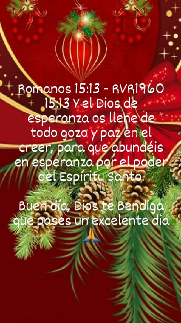 Emilia Stanco (@emiliast1) on Twitter photo 