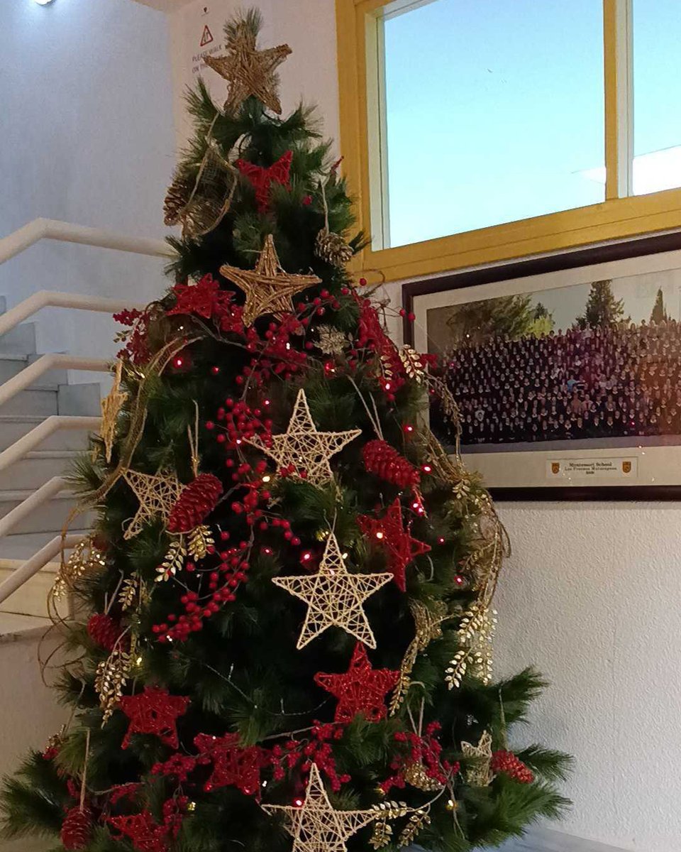 MSchoolMadrid's tweet photo. 🇪🇸 Navidad 

🇬🇧 Christmas https://t.co/eFELxRFnuT