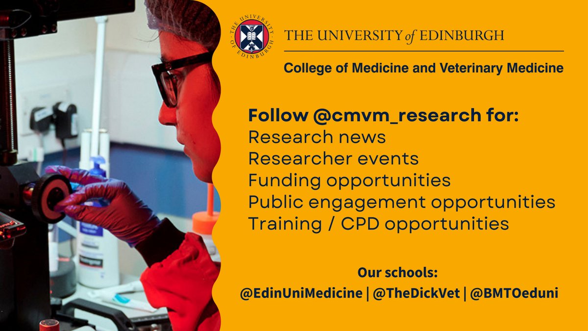 CMVM Research Office tweet media