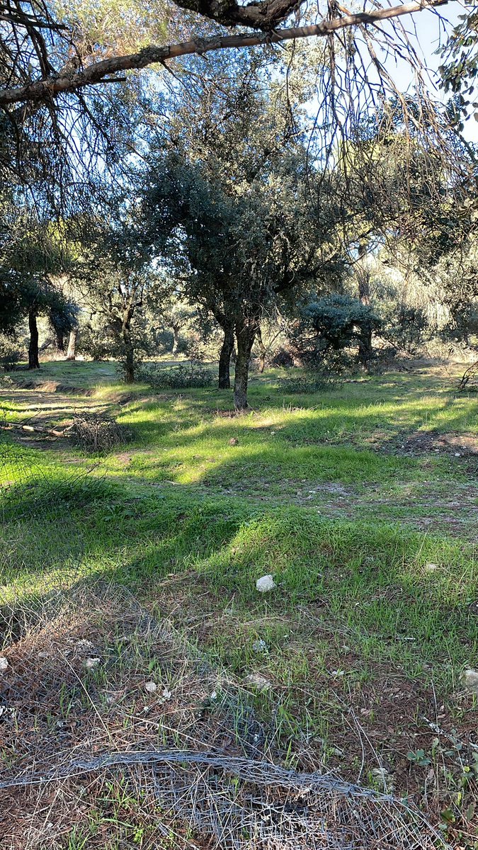 jezquerra57's tweet photo. Que mejor para quitar el estrés que un buen paseo con este maravilloso día, con mi música de los 80, por un monte espectacular, bien protegido por crema solar, mi sombrero y mucho ánimo. Todo mi apoyo a los que hacen huelga por la dignidad de la primaria, mucho ánimo y a ganar. https://t.co/sHICXa9lwE