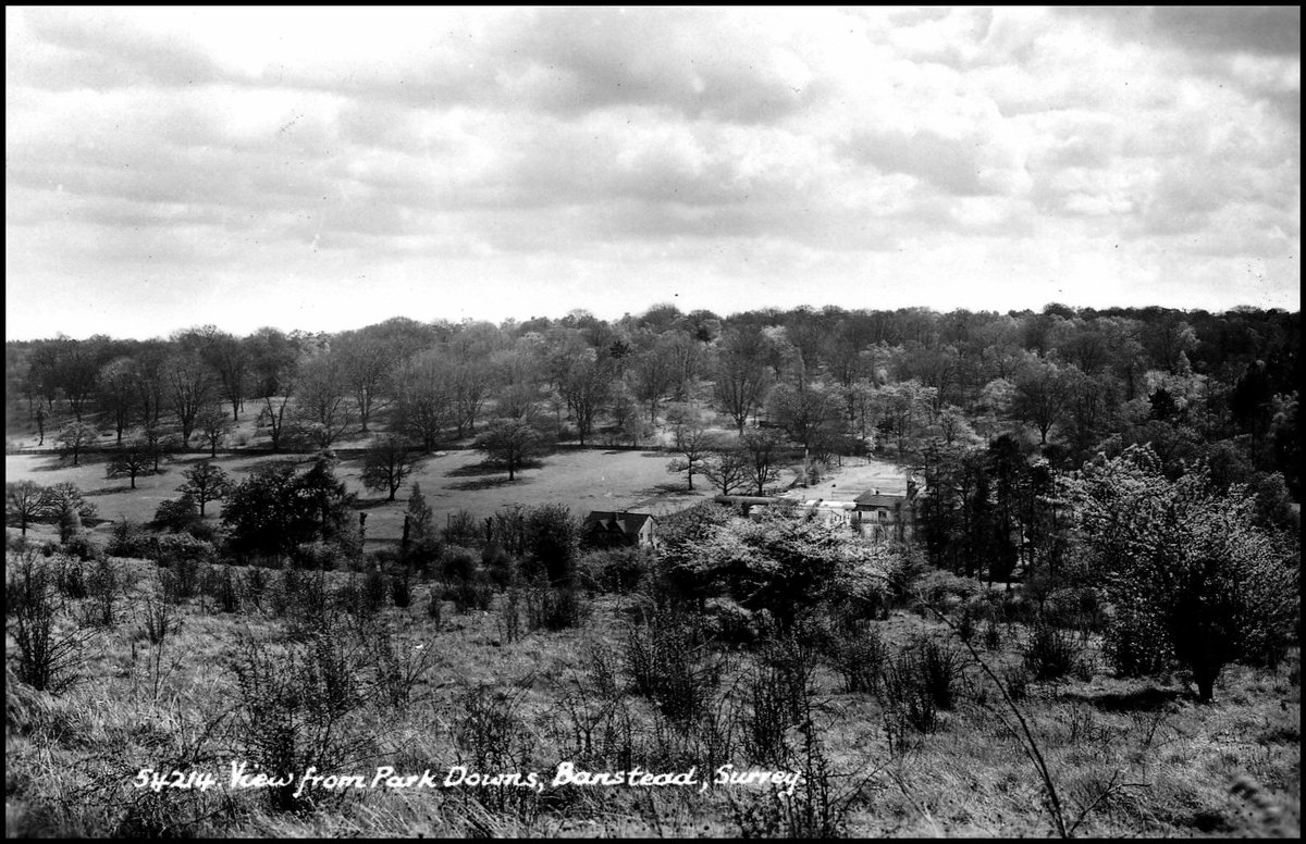 BCConservators's tweet photo. #ParkDowns then and now!
The view is looking from Park Downs across at Banstead Woods.
@reigatebanstead
@Downygrazers
@DownlandsTrust https://t.co/xVFIbAcQzt