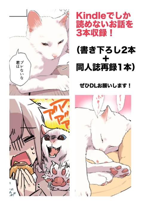 Kindle本限定の書き下ろしをちらみせしておきます…👁 