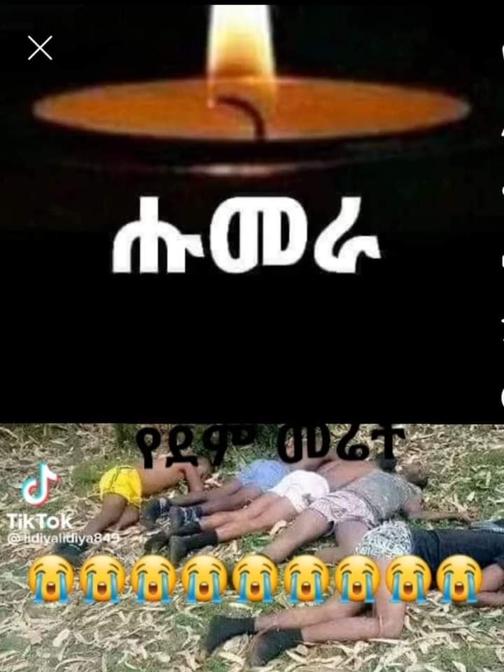 AlamiBerhan's tweet photo. @MILKA_IG ኣጆና ድምፂ ህዝቢና ንኹን https://t.co/vKXx8LnLjA