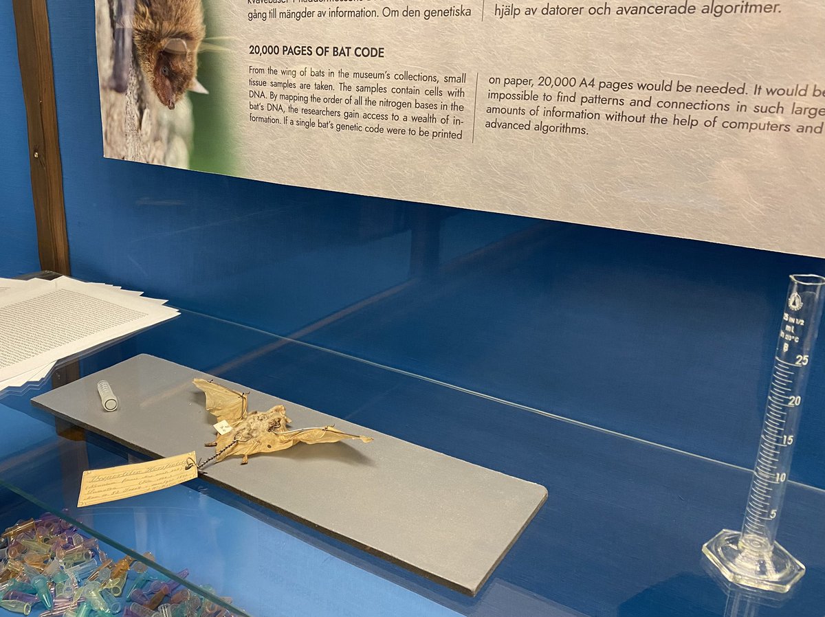 During the last years I’ve been involved in renovating an #exhibition about deuterostome #evolution. We open up on Saturday!