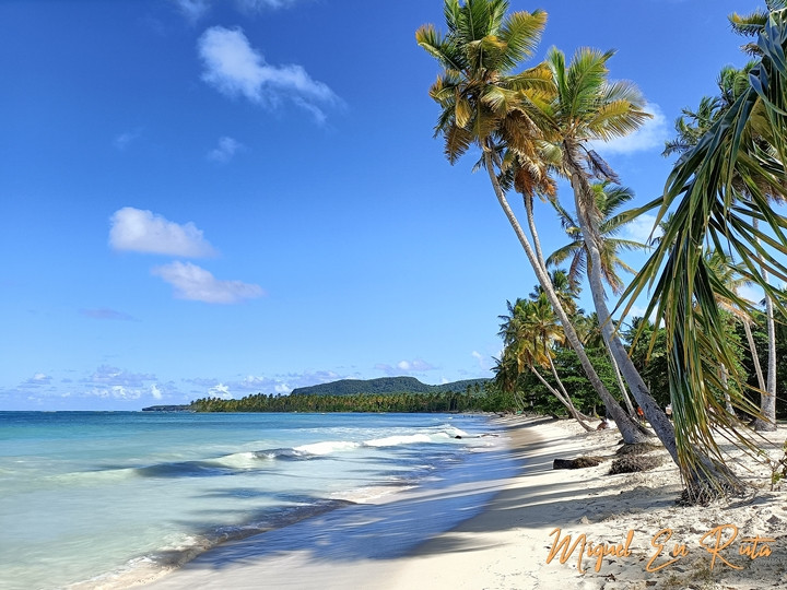 3 playas imprescindibles en Samaná, República Dominicana
miguelenruta.com/2022/12/tres-p…
#topten #playas #RepublicaDominicana #Viajar #Vacaciones