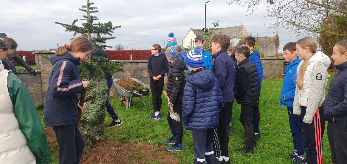 RosegreenNS's tweet photo. The Sixth Class children enjoyed Planting a Christmas Tree which was kindly donated by a parent in our school. We really appreciate the gesture. https://t.co/t8DV1a7PKj