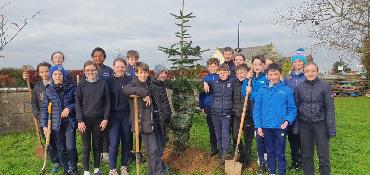 RosegreenNS's tweet photo. The Sixth Class children enjoyed Planting a Christmas Tree which was kindly donated by a parent in our school. We really appreciate the gesture. https://t.co/t8DV1a7PKj