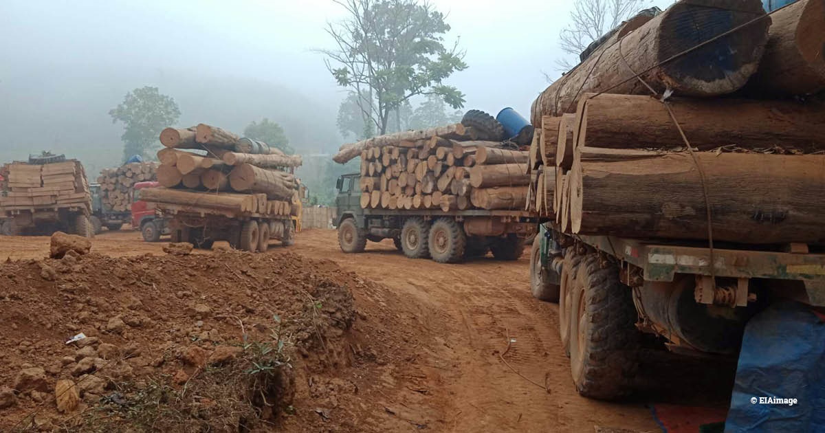 BREAKING: Traders defy the law to import more #teak into the USA from #Myanmar than before the coup

ow.ly/rQmA50LSav8

#illegallogging #timber