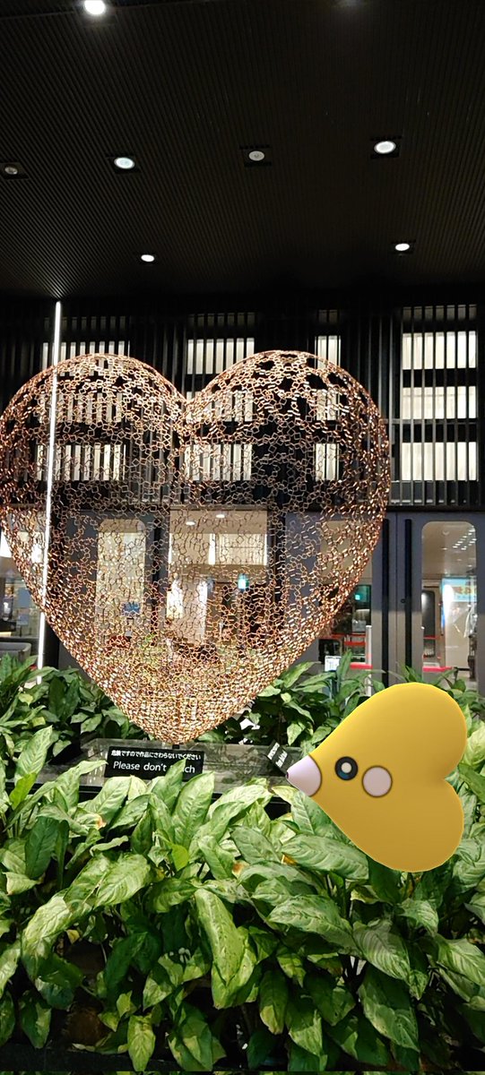 punsucasan's tweet photo. 壊れやすいハート
#ラブカス #色違いポケモン #ポケモンGO #PokemonGO #GOsnapshot  #NianticAR #ARPhotoADay https://t.co/HJM6wluOec