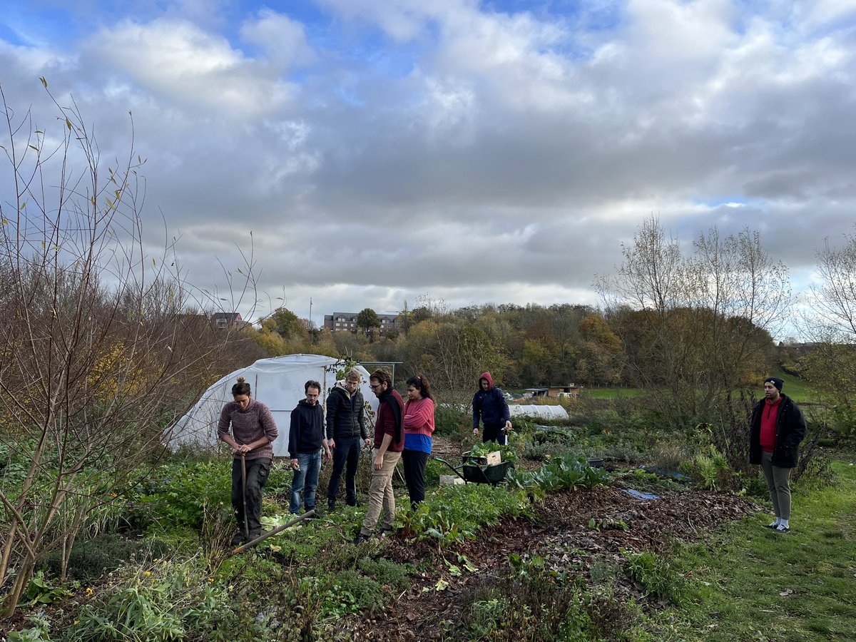 leen_schelfhout's tweet photo. Spent an incredibly warm and regenerative week at @MatriceCampus with the @regensunite team and friends. Finding balance between deep work and relating, lots of fun, yoga, sharing meals, working in the garden, just hanging out and getting things done. Want more of this 💚☀️🌱 https://t.co/RafnVRtuKI