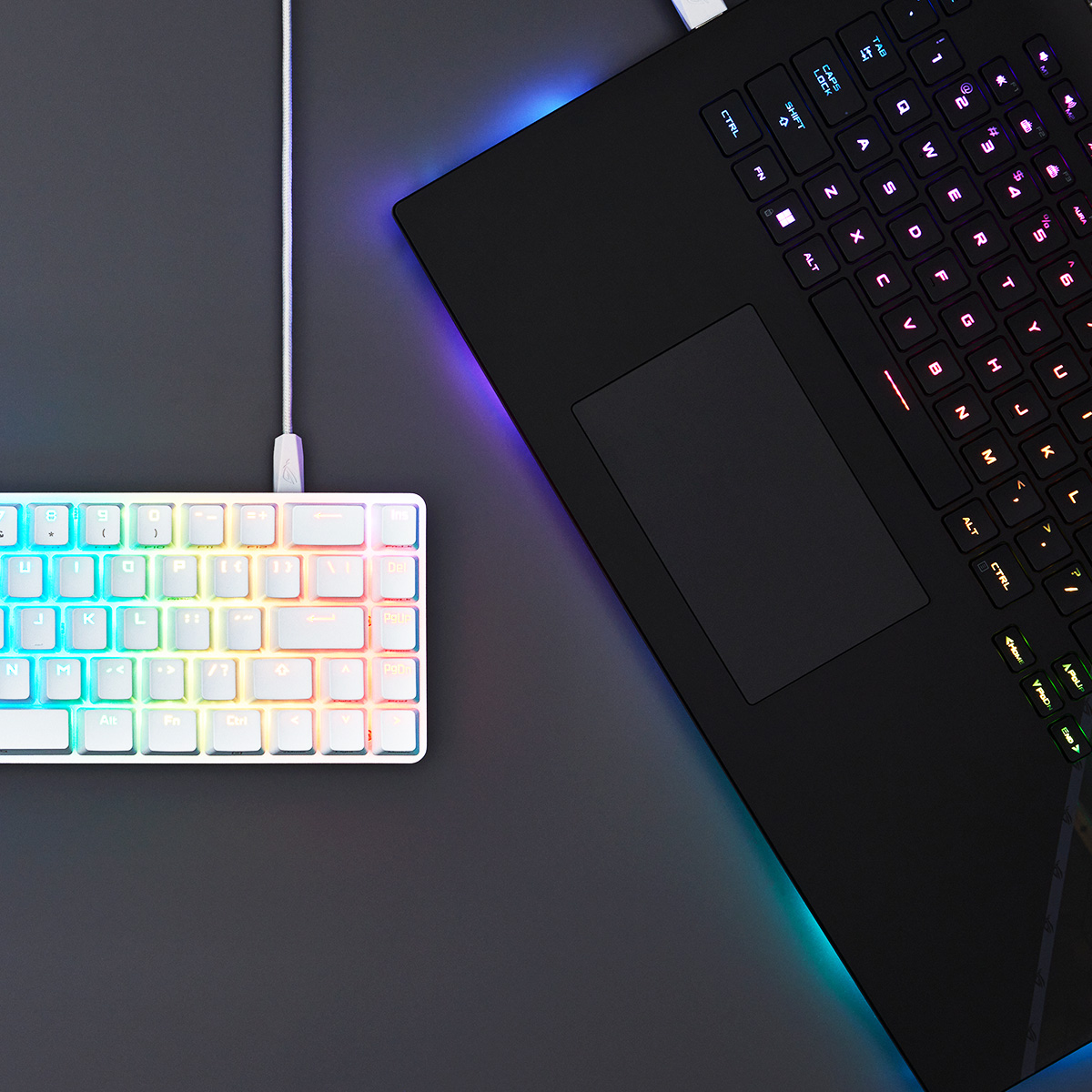 ASUS_ROGUK's tweet photo. The perfect gift for gamers ⬜🎁⌨⬛
The ROG Falchion Ace features dual type-C® ports for better cable management or KVM function!
Specs ▶️ https://t.co/1LQtj10PFz
#ROGPeripherals #ROGGamingKeyboard https://t.co/KcW0DNHxte