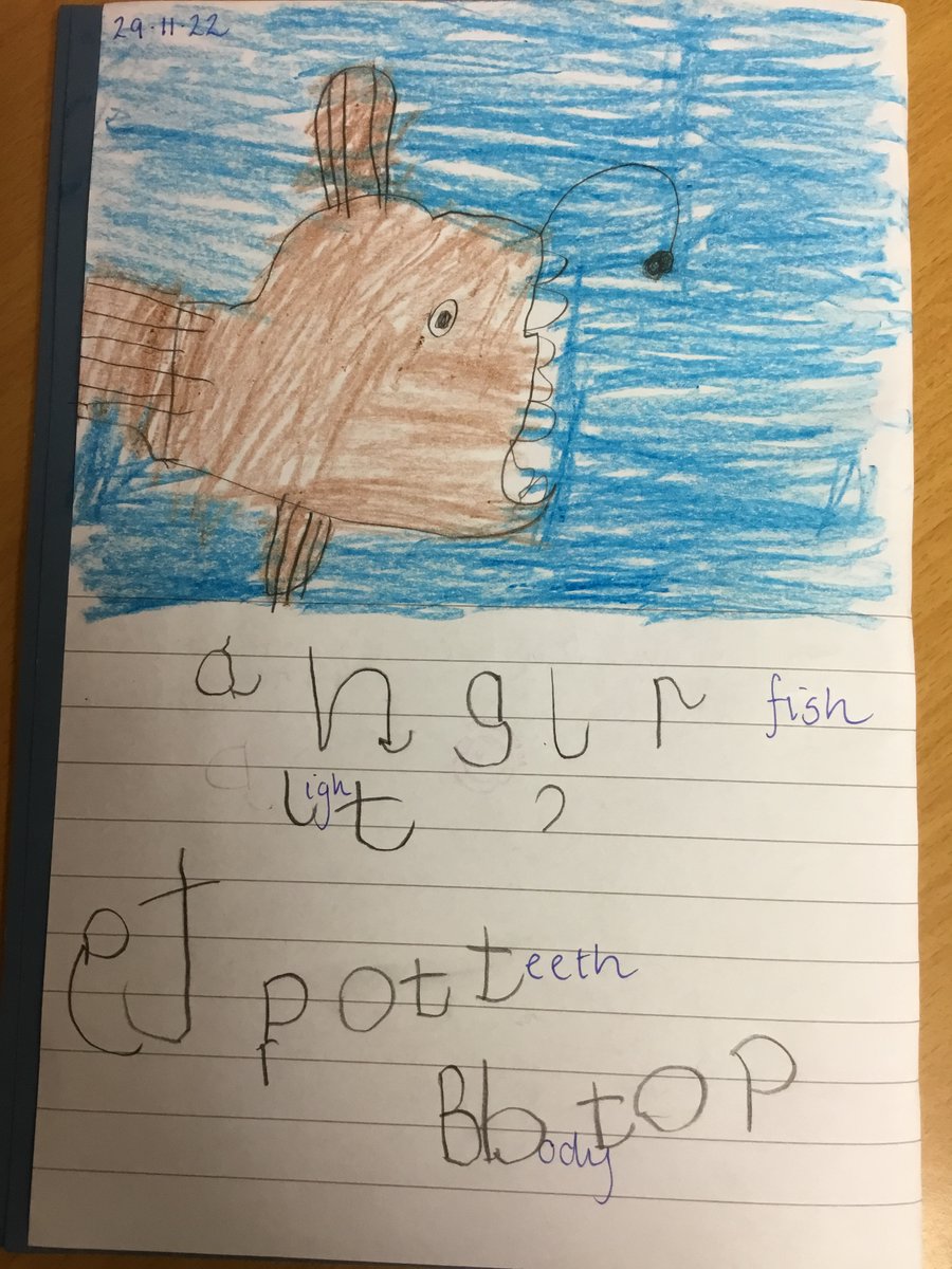 P1S loved exploring their Book Bug Bags this week. we loved learning about sea creatures using ’My First Book of Sea Creatures’. We picked and drew our favourite and wrote facts about them using the sounds we have learned to build words or add letter labels