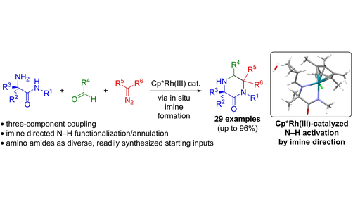 angew_chem's tweet photo. Imine Directed Cp*RhIII-Catalyzed N-H Functionalization and Annulation with Amino Amides, Aldehydes, and Diazo Compounds (Ellman) @ellman_lab https://t.co/DYL8KBqhfI https://t.co/rUS5RQvxyF