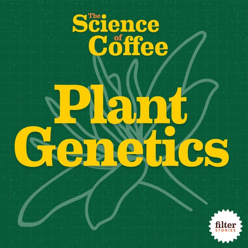 Trabocca (@trabocca) on Twitter photo “The Science of Coffee” is a new podcast series where you can hear all about it! In the ep 3 “Plant Genetics”, Bernhard Gichimu, our specialist agronomist in Mount Kenya, shares interesting insights about the topic in his interview. 🇰🇪
Tune in to <a href="/FilterStories/">Filter Stories Podcast</a>. “The Science of Coffee” is a new podcast series where you can hear all about it! In the ep 3 “Plant Genetics”, Bernhard Gichimu, our specialist agronomist in Mount Kenya, shares interesting insights about the topic in his interview. 🇰🇪
Tune in to <a href="/FilterStories/">Filter Stories Podcast</a>.