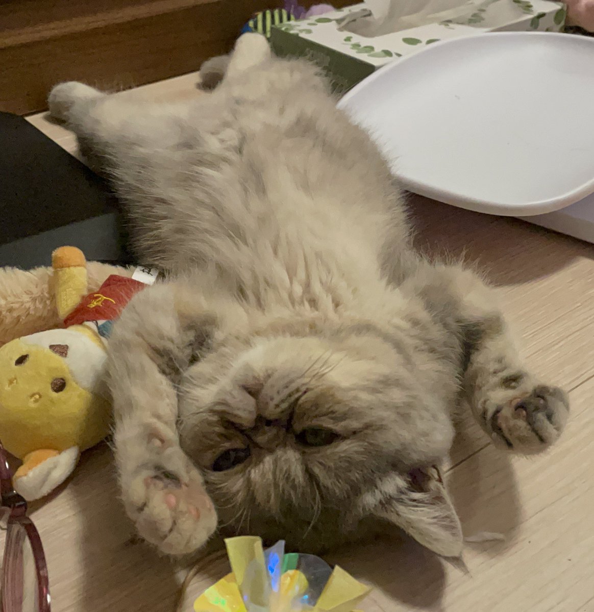 ばんざーい🙌🏻💕