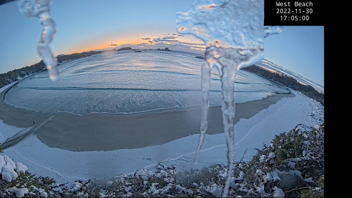 Winter comes to Calvert Island pt. 2