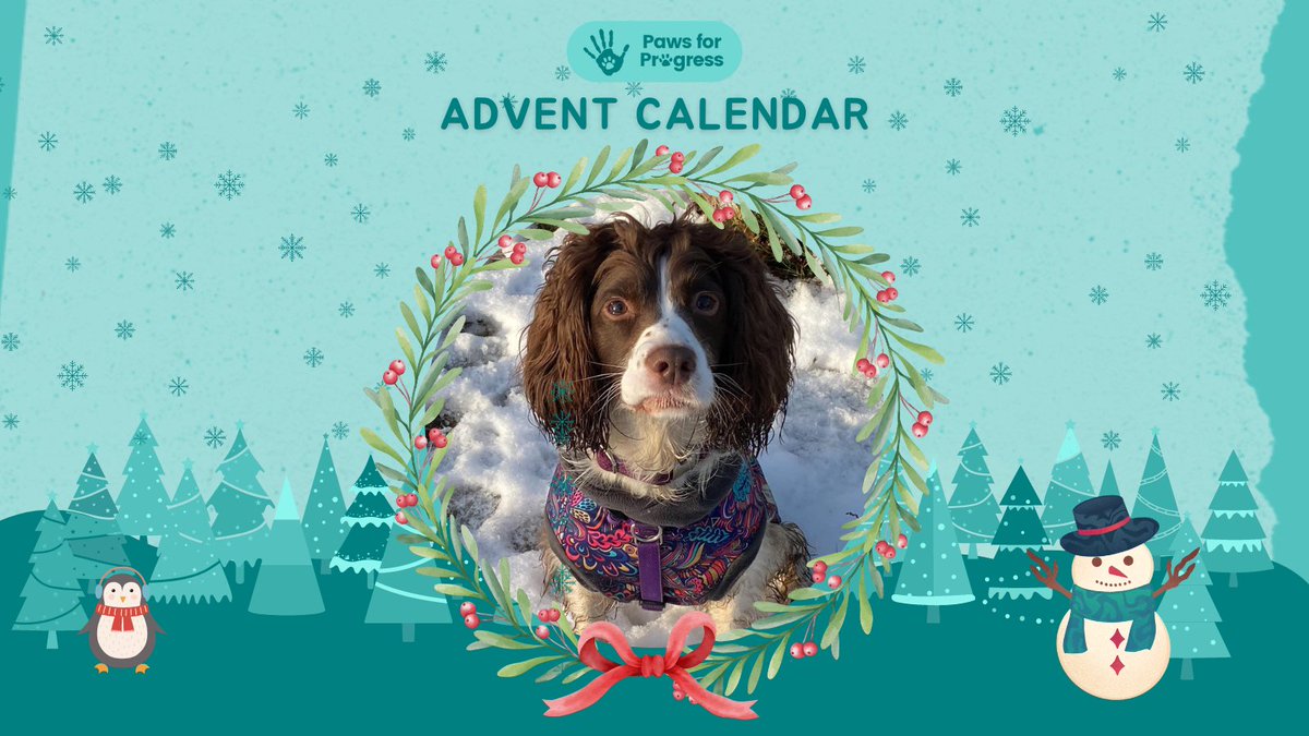 PawsforProgress's tweet photo. Get into the festive spirit and have fun with your dog this month with the #PawsforProgress Advent Calendar!
Our team have picked a fun selection of activities and challenges for you, which you can access daily through our online Advent Calendar. ๐๐ https://t.co/zsKlw8ds9b