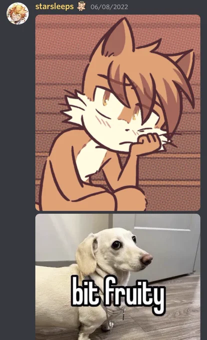 The discord is also very fun 