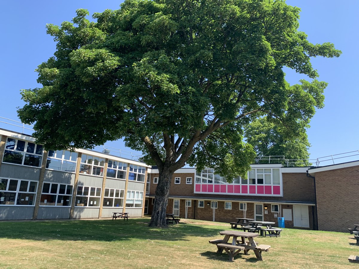 brentfordschool's tweet image. It’s #NationalTreeWeek this week 27th November-5th December.🌳 
Here is our iconic school tree which has been here since around the 1940’s. 
Is there anyone with any pictures of our iconic tree from years gone by? If so tweet them to us.
#NationalTreeWeek #iconictree #BSFG