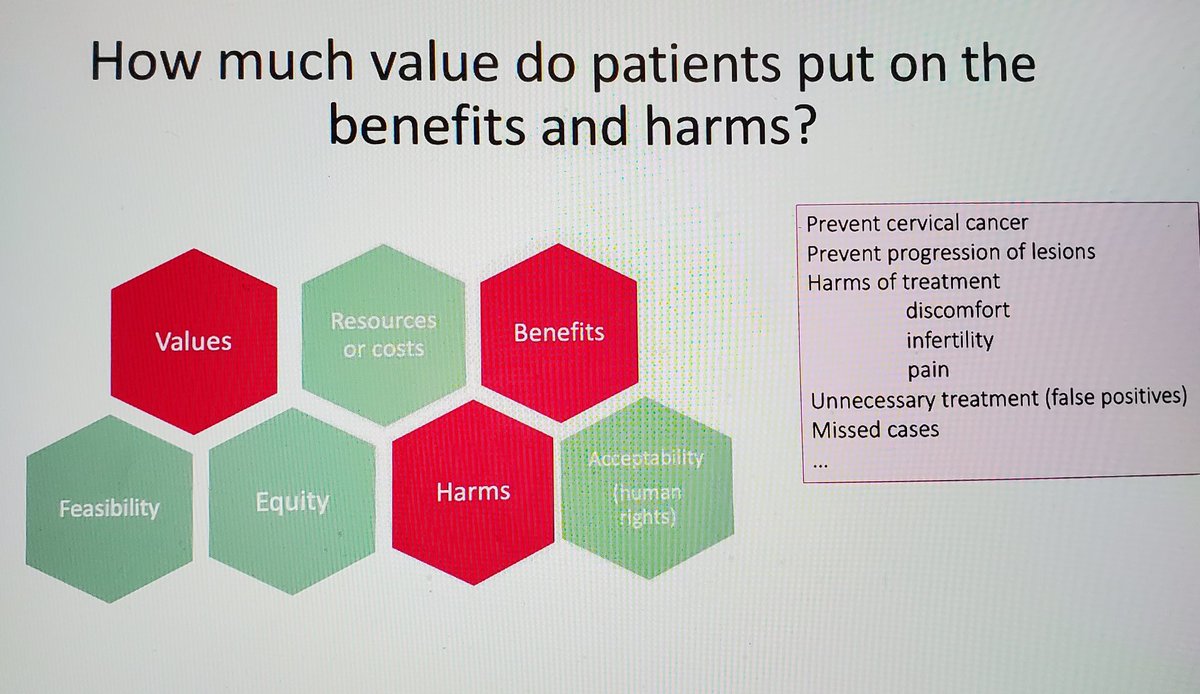 Hassanah2017's tweet photo. @gin_member Public/Patient Involvement in #Guidelines workshop #CriteriaPatientViews and #ValuesaroundBenefitsandHarms https://t.co/Lz7TNscepP