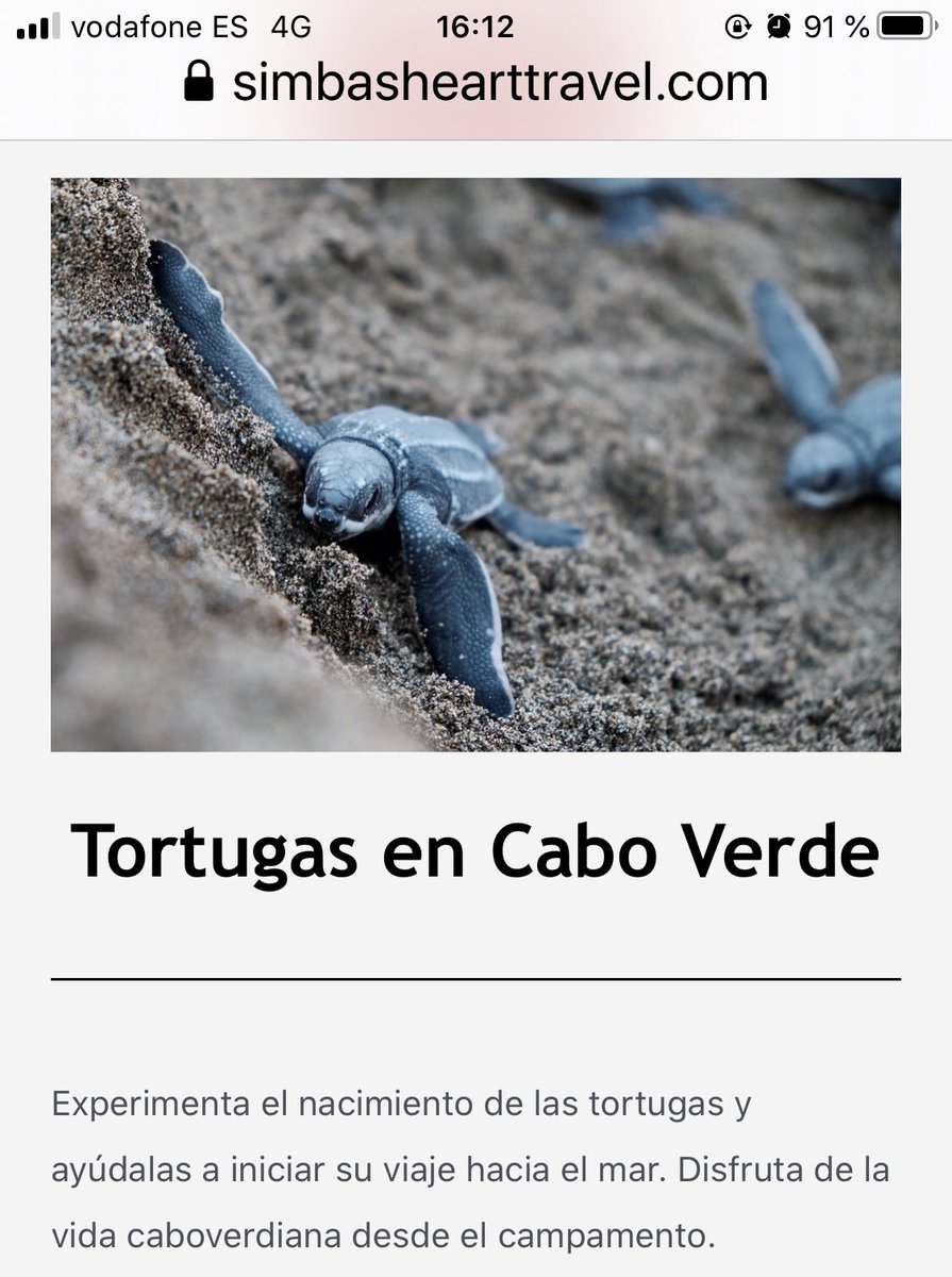 conchafrb's tweet image. Para el que busca una aventura inolvidable simbashearttravel.com