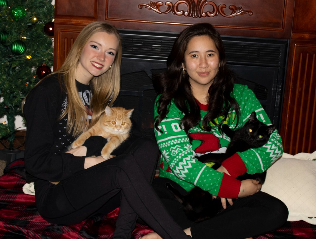 CambersCreative's tweet image. Happy Holidays! #PHOTOS #photography #photooftheday #Photoshop