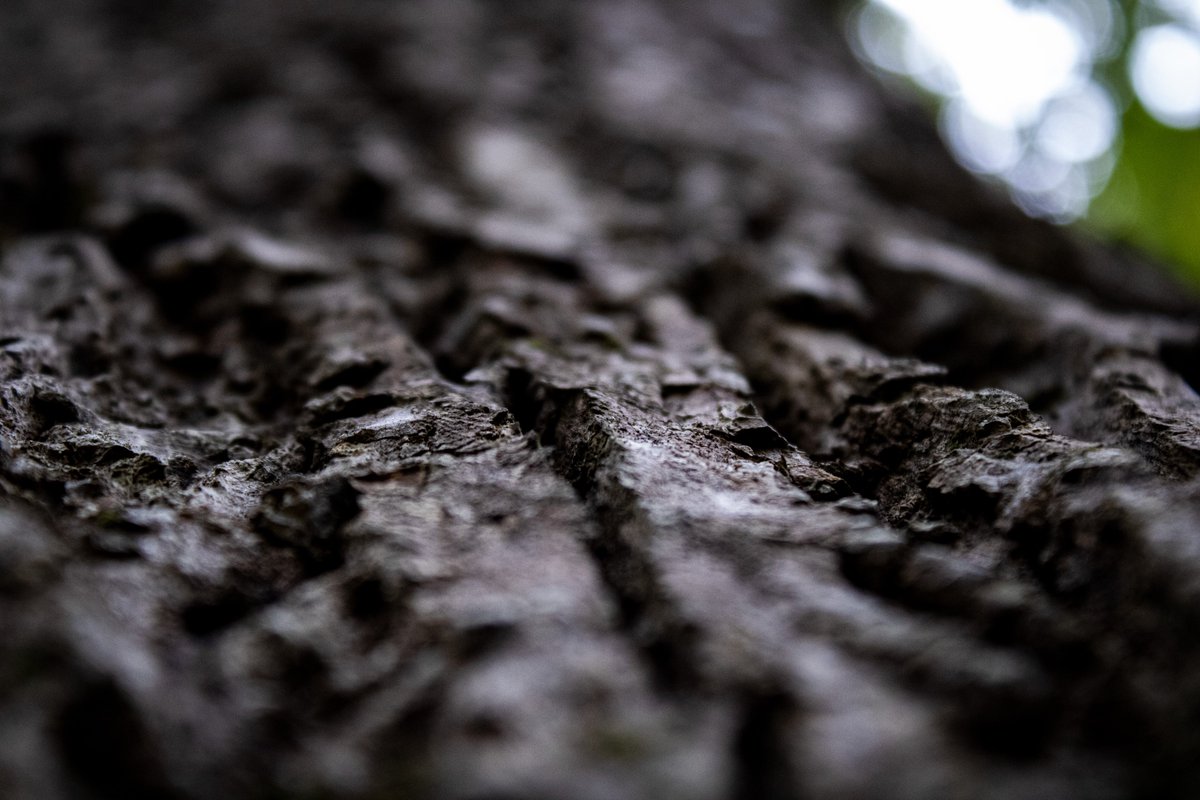 CambersCreative's tweet image. Peosta, Iowa, 09/10/2022 #PHOTOS #photography #photooftheday #Photoshop #photographer