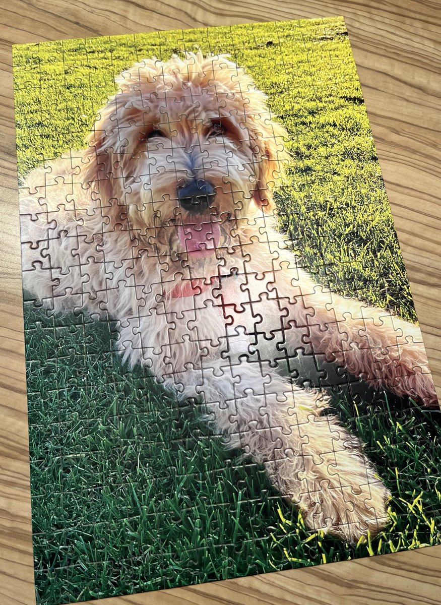 Rüdiger Dreier tweet media