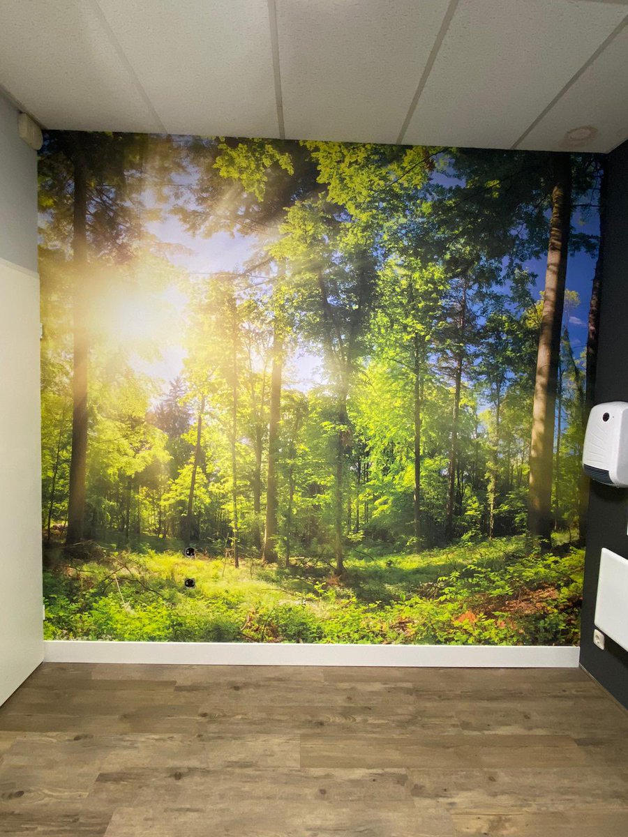 Buiten is het koud, maar hier voel je de warme zonnestralen zó door het fotobehang heen komen 😉 Voor nòg meer warmte adviseer ik je het behang eens in het echt te gaan bekijken bij Kagas.nl Uw verwarmingsinstallateur!
roorda-schilders.nl/ons-specialism…