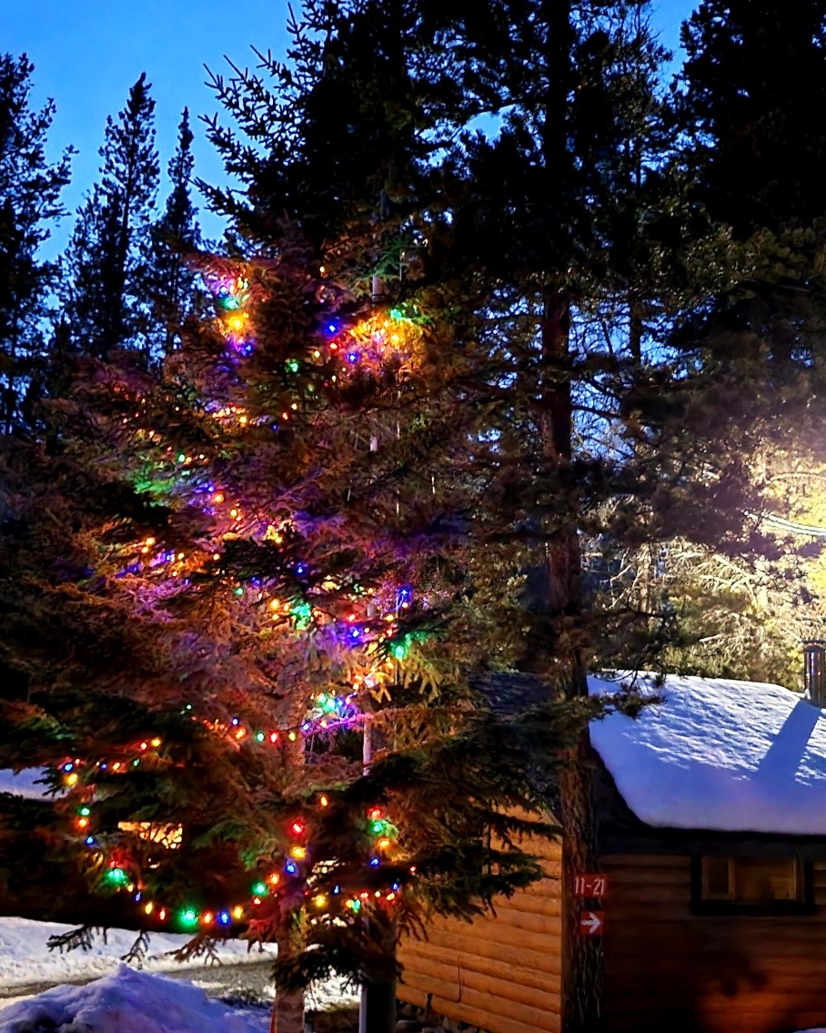 CastleMountain2's tweet photo. https://t.co/hE4qxA5Pgr