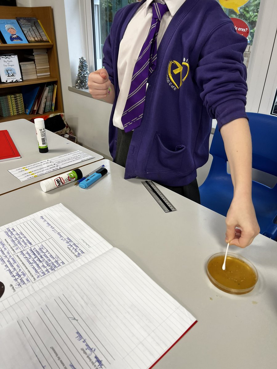 BirchwoodCE's tweet photo. Year 6 have been super scientists this afternoon 🧬 We have been taking some swabs to see where bacteria grows the most 🦠 We even swabbed Mrs Bonsall’s keyboard! Keep your eyes peeled for results ✍️ #bcepsy6 #bcepsscience @allaboutstem https://t.co/nVKkAJrIfq