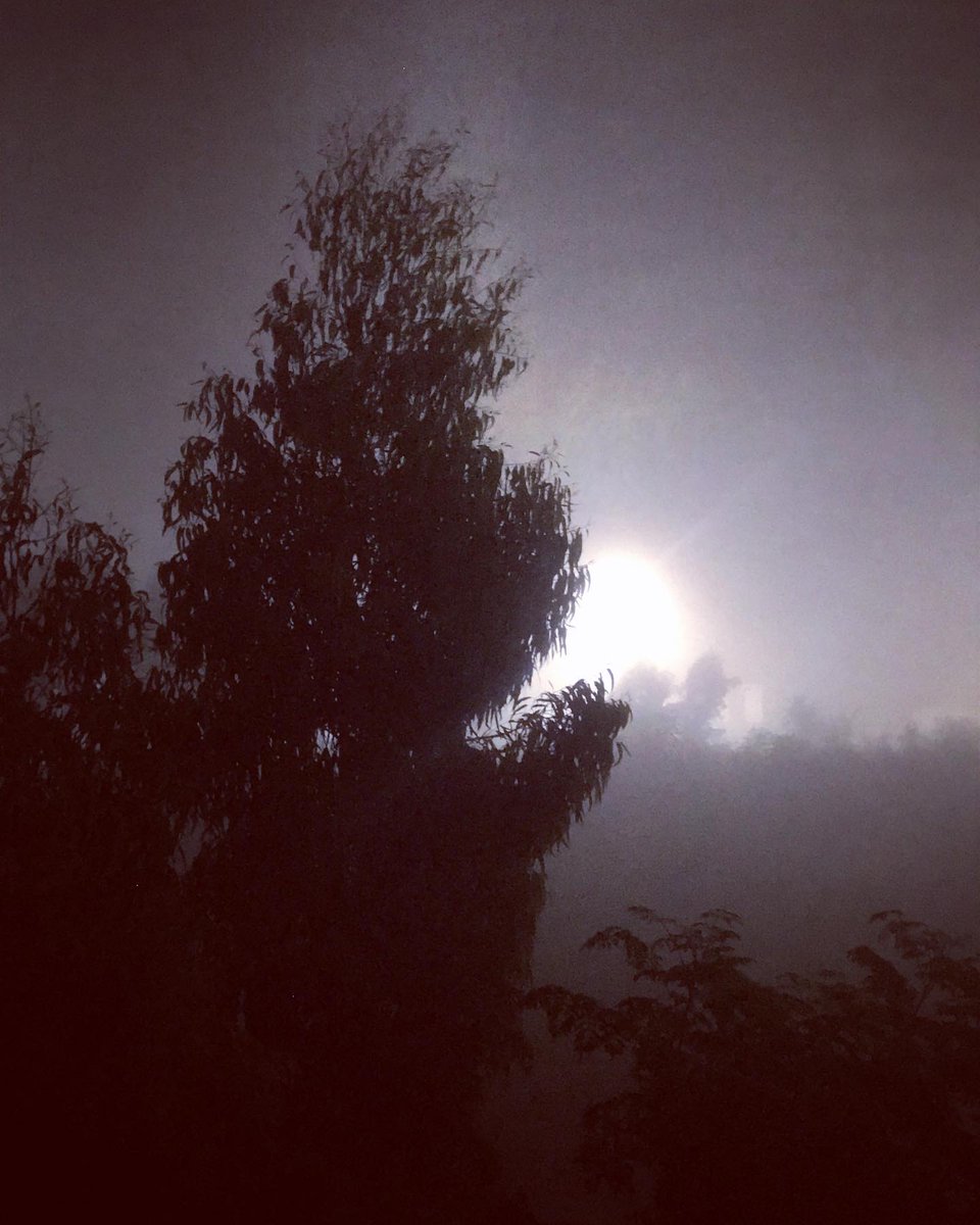YOYOYO7L's tweet photo. Fog! https://t.co/Tu1YXnTANr