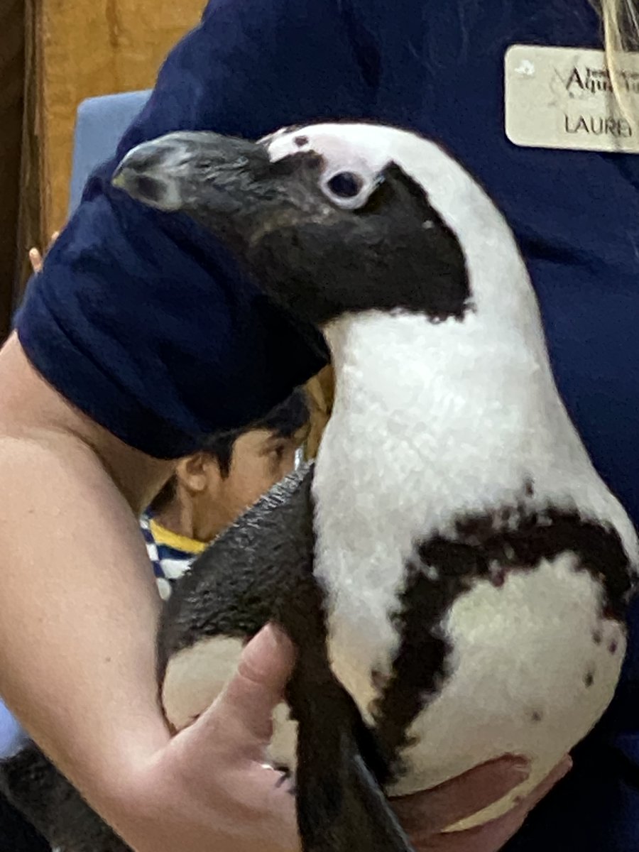 M. Hoffman tweet media