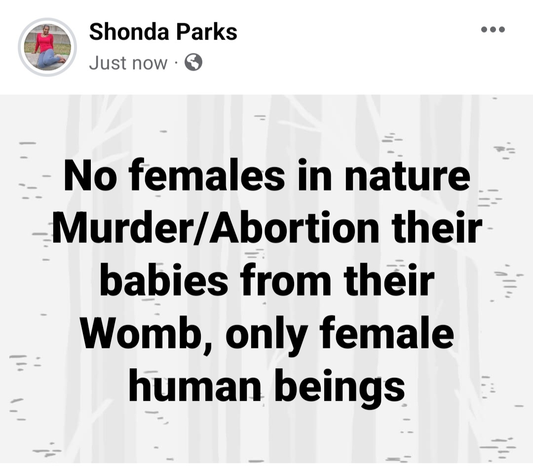 Shondamparks's tweet photo. https://t.co/qjzlyQuMgz