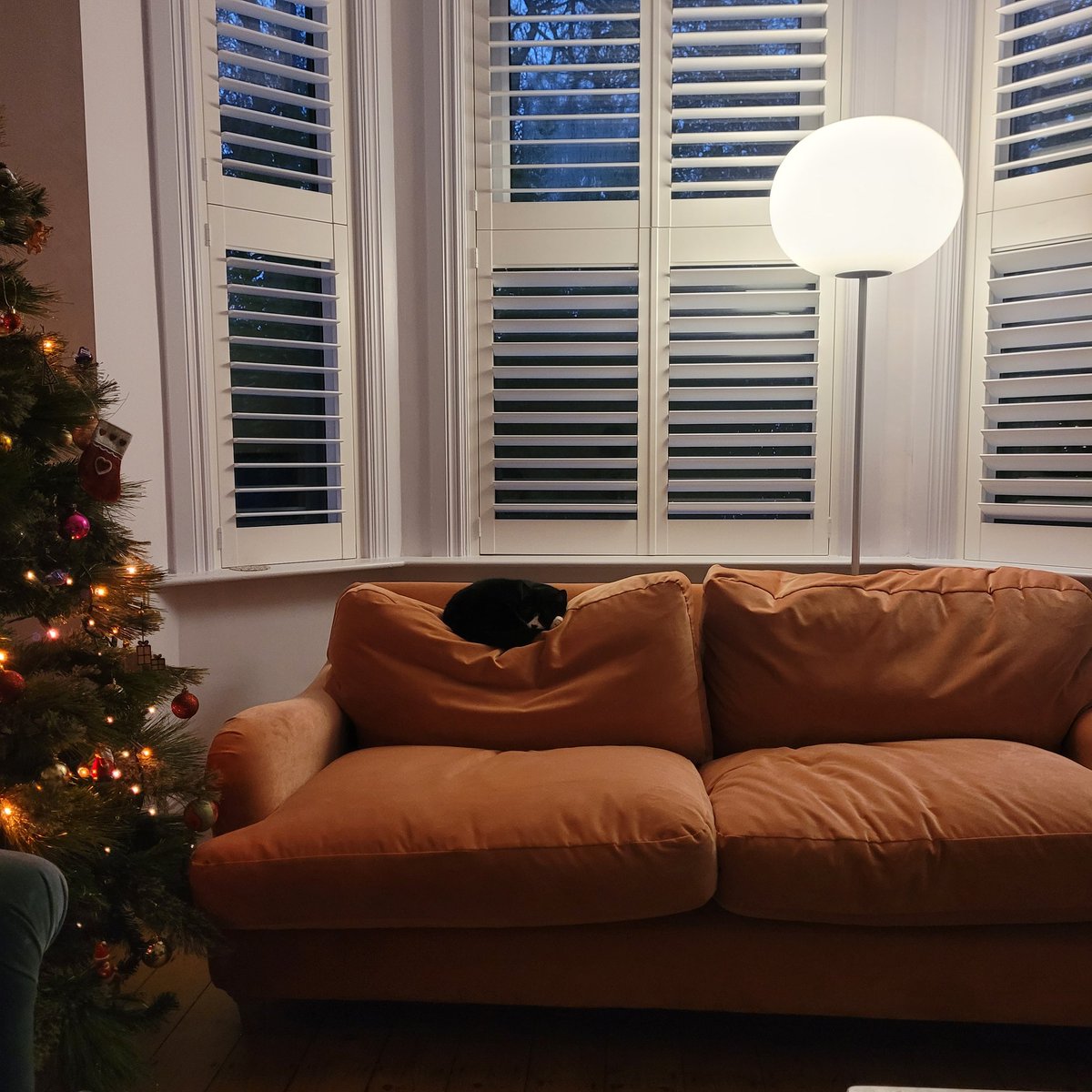 Bought this new sofa just for her. Cratered out a spot on the cushion from day 1 <a href="/loafhome/">Loaf</a>