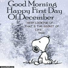 Strategistblyth's tweet photo. Keep looking up that’s secret of life. Wishing You all! family members, friends, colleague at work, investors, and every other person’s out there a fulfilled Month.
.
.
.
.
#december #yuletide #xmas #celebration #familygoal #businesswoman https://t.co/YDLJtTTubk