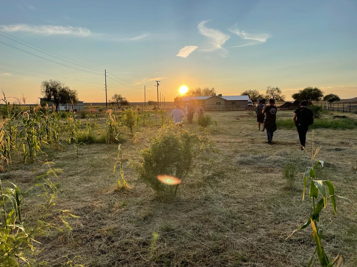 On Oct 3, @oatman_flats_ranch witnessed the biggest wind, rain, and hailstorm of the season. With wind gusting above 60 mph. They thanked cover crops that day, for the farm thrived. Help us in spreading these practices Donate today bit.ly/3eufOLL