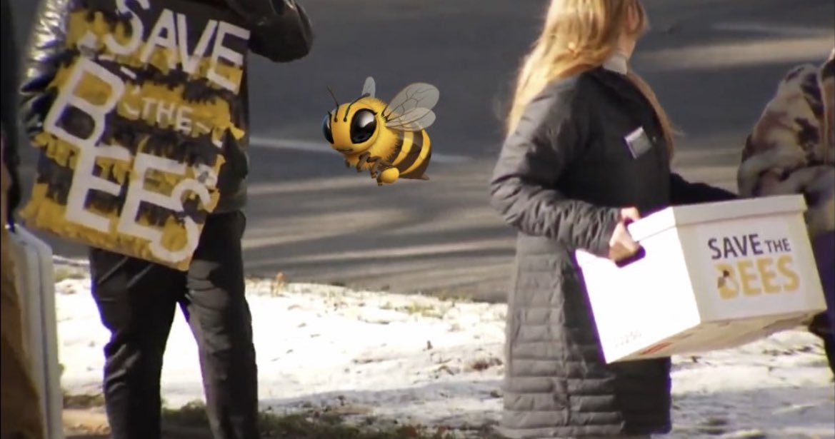 superblondebees's tweet photo. βWe need #beesβ A group of #CO #bee advocates are taking their petition to the Capitol π #EnvironmentColorado #PesticideApplicatorAct #neonics #pesticides #legislation #savethebees
https://t.co/tmyQfbdGZq https://t.co/dUKZwVS93d