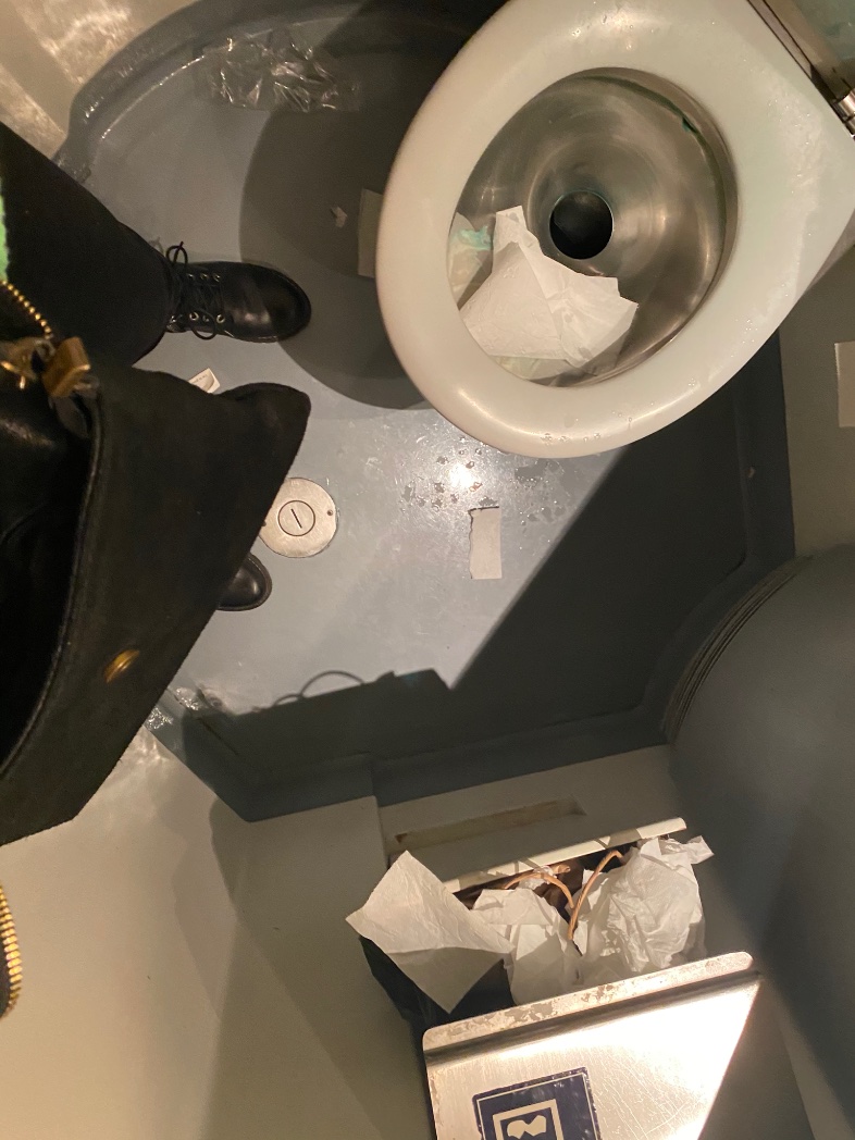 mascarilla obligatoria  y oyeeee ten cuidado en el baño no vayas a pillar el ébola . en Covid había una empleada q limpiaba los baños en trayecto y los apoya brazos .. resultado .. me sigo haciendo pipí y lo haré en mi casa <a href="/Inforenfe/">InfoRenfe</a> . Sube los precios y baja la limpieza