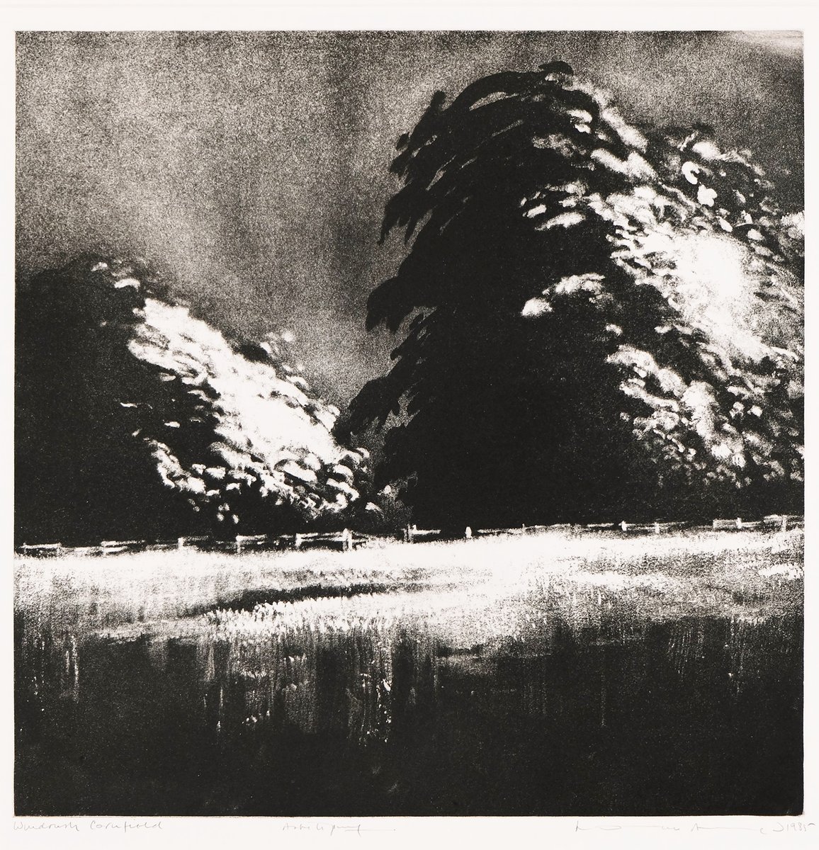 Our annual Benefit Auction is our MOST
important fundraiser! Proceeds support our
critically-acclaimed exhibitions, publications and
educational programs.
Bid on these black &amp; white beauties and 50+ other
fabulous works on <a href="/artsy/">Artsy</a> - link in bio.
Anne Noggle + Norman Ackroyd
