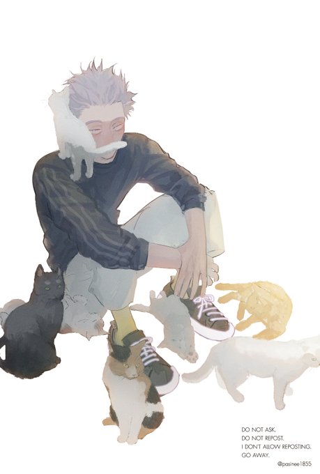 「cat on head full body」 illustration images(Latest)