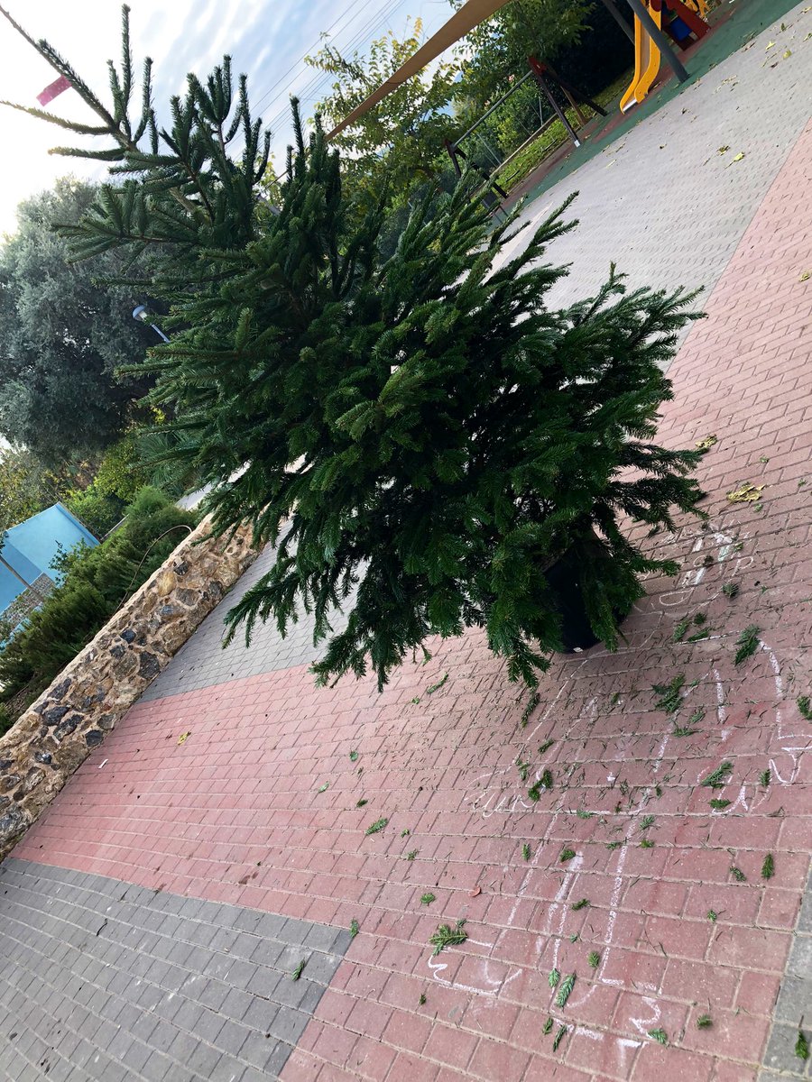 vadavum's tweet photo. Aparecen las primeras víctimas de las trifulcas navideñas. https://t.co/Qs9rq29c1q