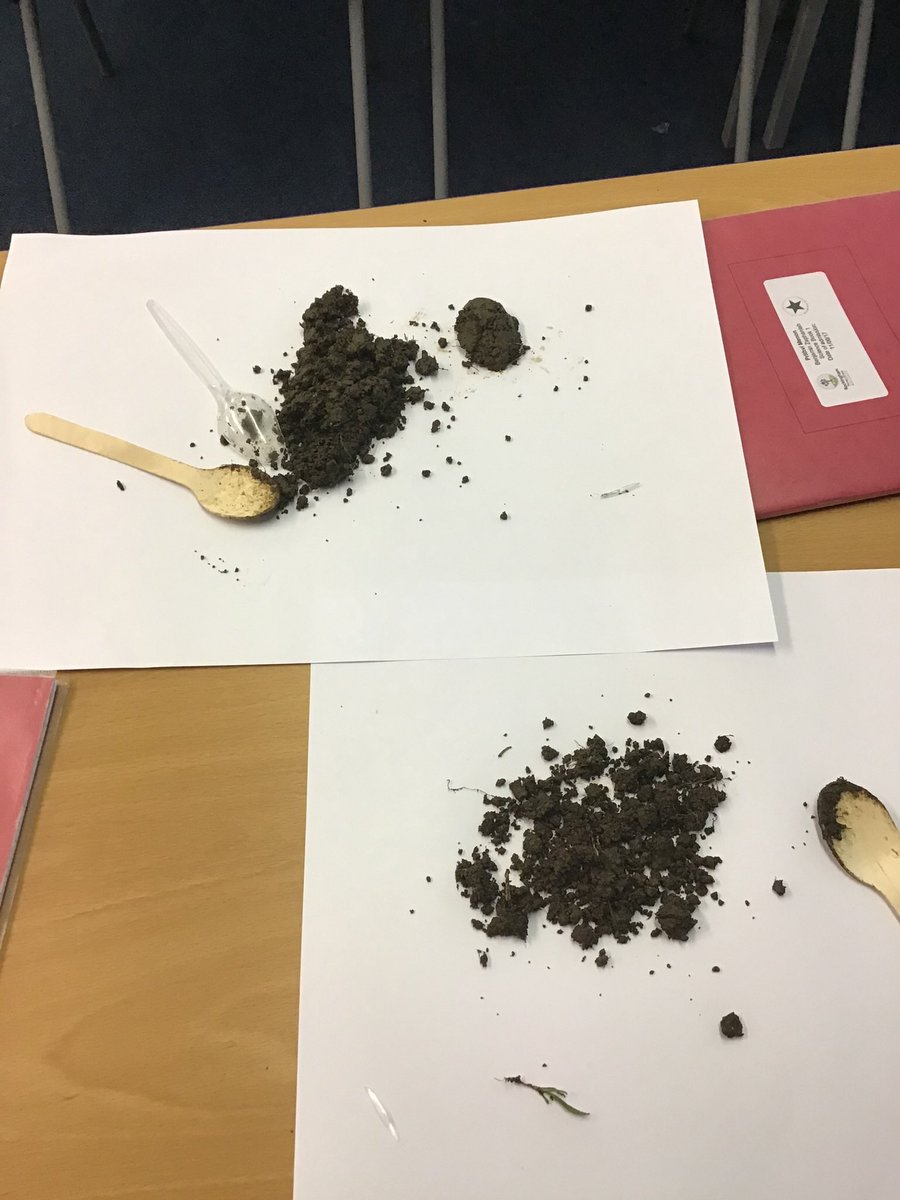 rockinghamah's tweet photo. This week in Science, Class 14 collected soil samples and investigated the composition. They looked at the particles and any organic matter that was in the sample. @RockinghamPri #rockinghamscience https://t.co/0KkTZKpKhX