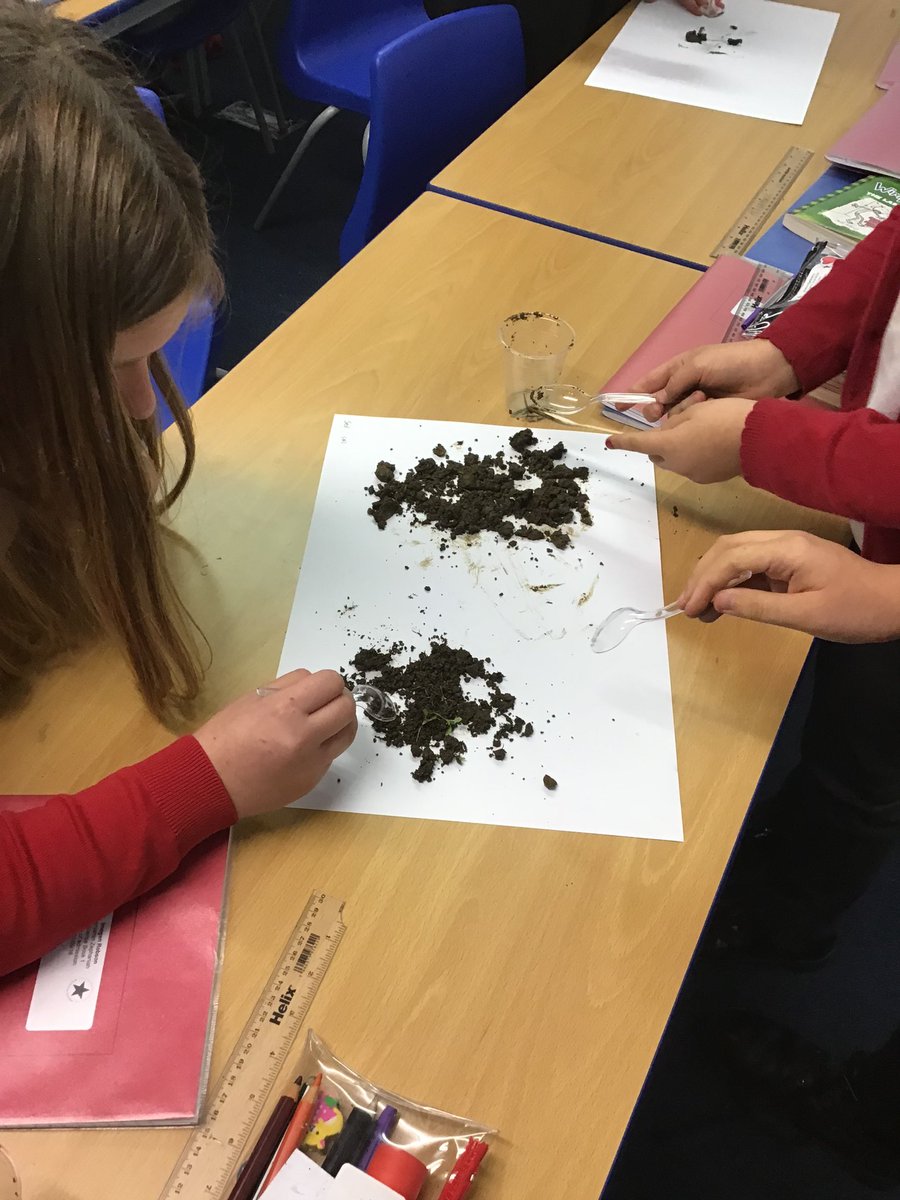 rockinghamah's tweet photo. This week in Science, Class 14 collected soil samples and investigated the composition. They looked at the particles and any organic matter that was in the sample. @RockinghamPri #rockinghamscience https://t.co/0KkTZKpKhX
