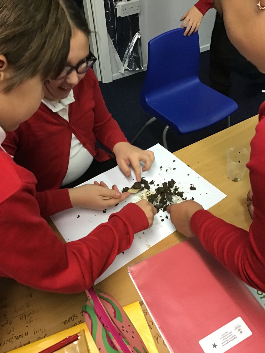 rockinghamah's tweet photo. This week in Science, Class 14 collected soil samples and investigated the composition. They looked at the particles and any organic matter that was in the sample. @RockinghamPri #rockinghamscience https://t.co/0KkTZKpKhX