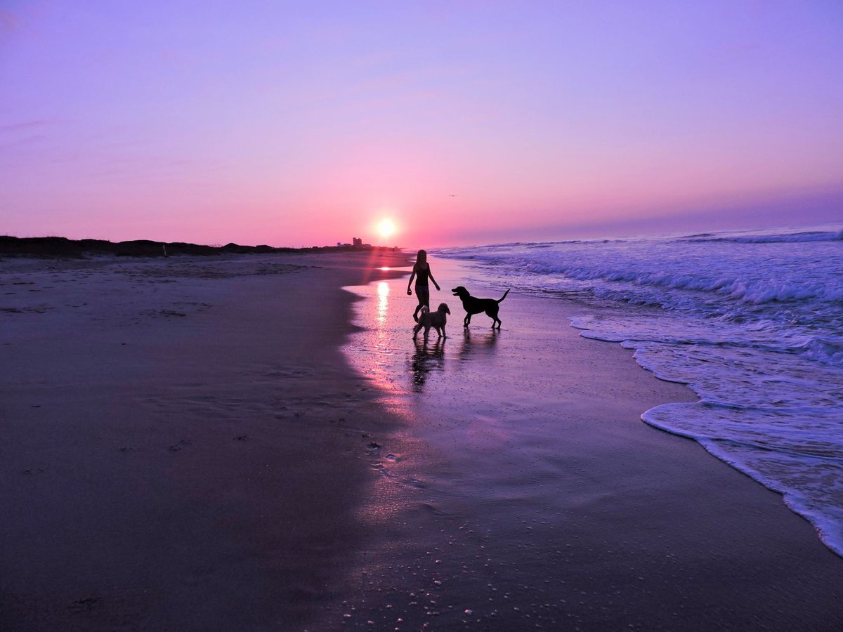 RT @BluewaterNC: Dogs leave pawprints in our hearts
& in the sand 🥰 🐾

#emeraldisle #emeraldislenc #nctravel #mycrystalcoast #travelblogger
#crystalcoastnc #coastalnc #travel #vacation #visitnc #waterview #petfriendly #vacationrental #waterviews #sun…