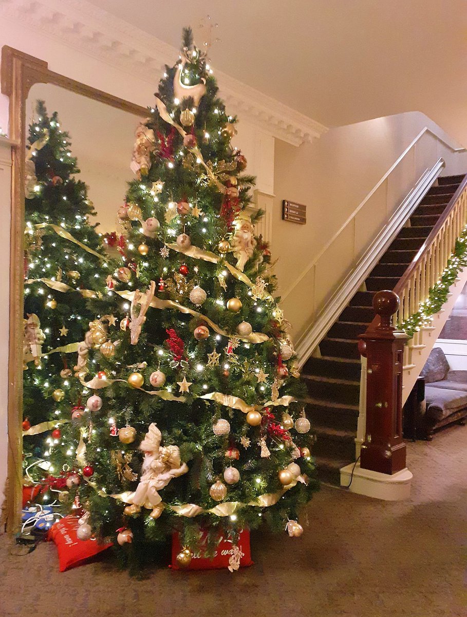 CHotelhms's tweet image. 1st December we opened the door and look!
It's just 3 more sleeps until our first Santa Sunday.
Please book your experience by calling our Reception Team on 028 2073 1210 
#visitsanta #christmasiscoming #christmasinnorthernireland #thecausewayhotel @VisitCauseway